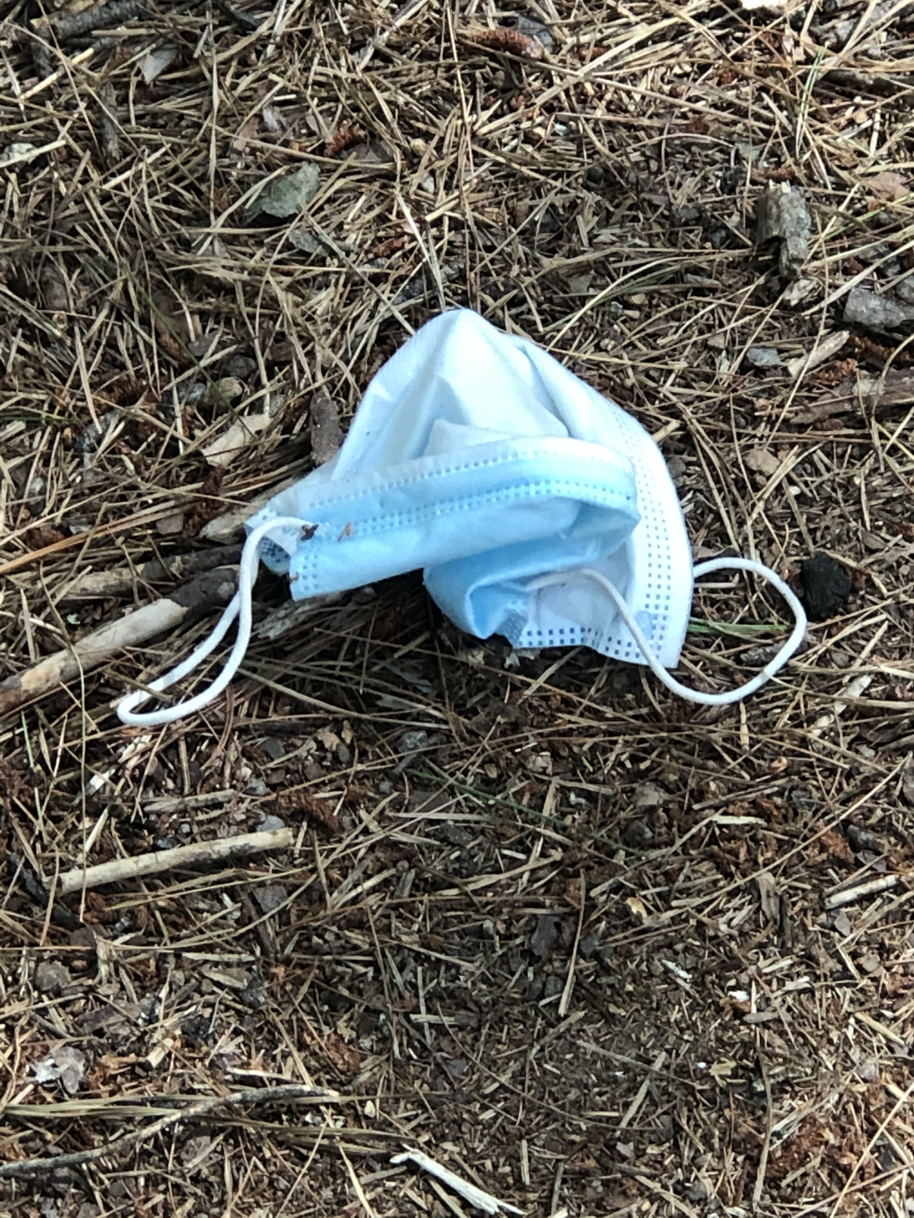 19F0588B-379E-40D7-ABB5-63D6A91037E3