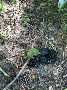 3794053A-9F18-4C90-832E-A3B029170B2E