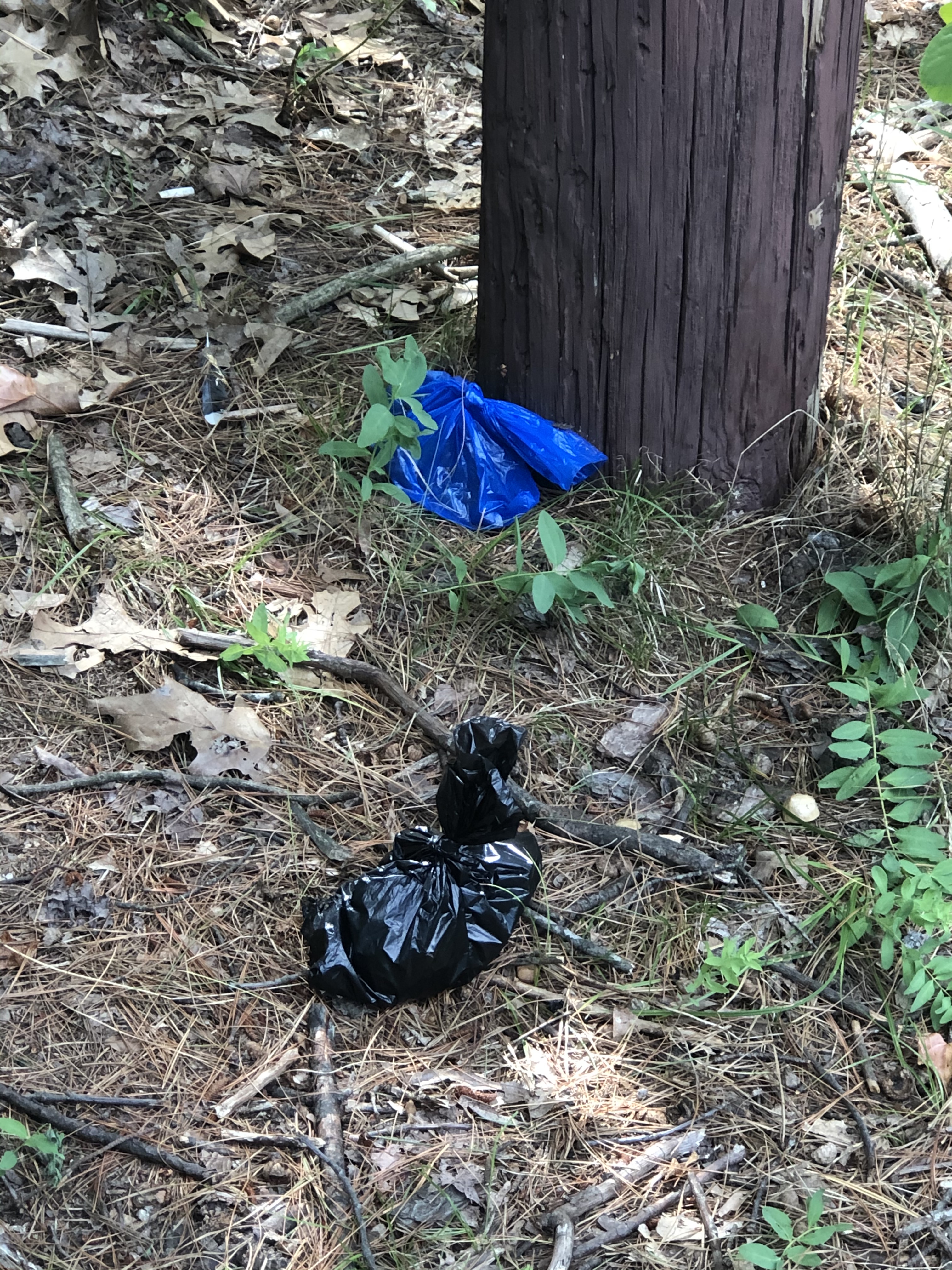 A3581ACB-01F9-4614-A8F2-E89D60186D46