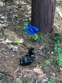 A3581ACB-01F9-4614-A8F2-E89D60186D46