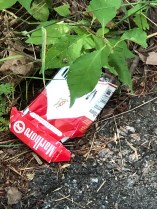 BF386B1B-DBA1-47E6-A0D2-7799948E69B3