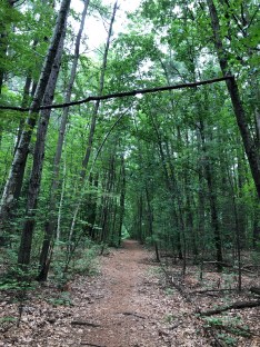 CA3162EE-E90C-4AB1-8C20-D66F2218D747