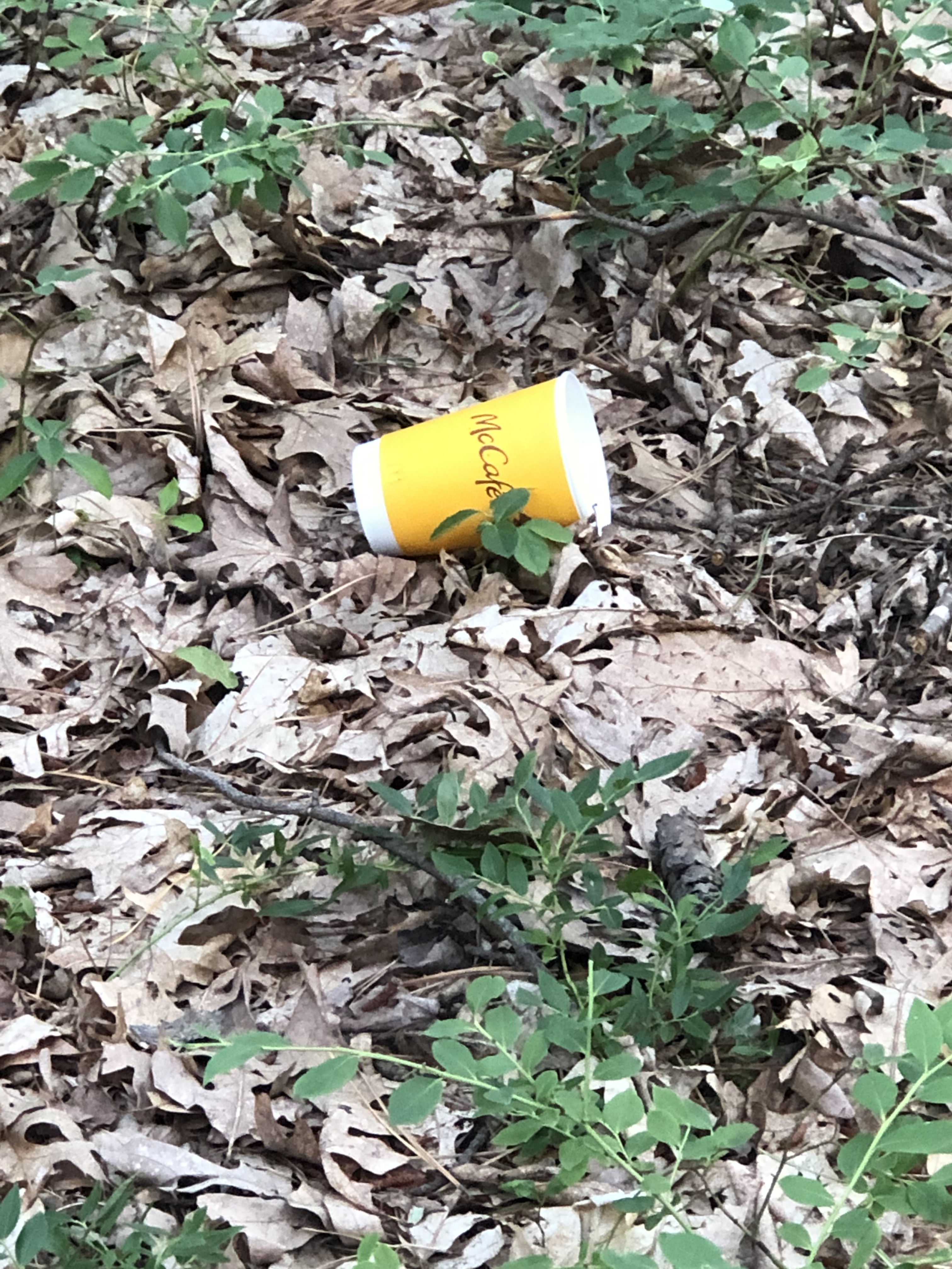 CFD06647-73E4-44A6-A787-CD6F2C52529D