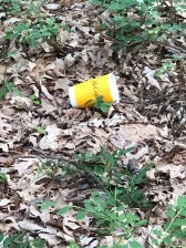 CFD06647-73E4-44A6-A787-CD6F2C52529D