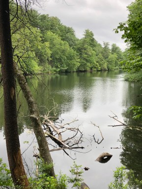 DA6EED72-4BA5-4210-B13E-0C59DF04DEE1