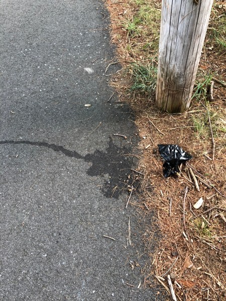 E3DE9CDC-967E-4561-B7A0-19FE1681049D