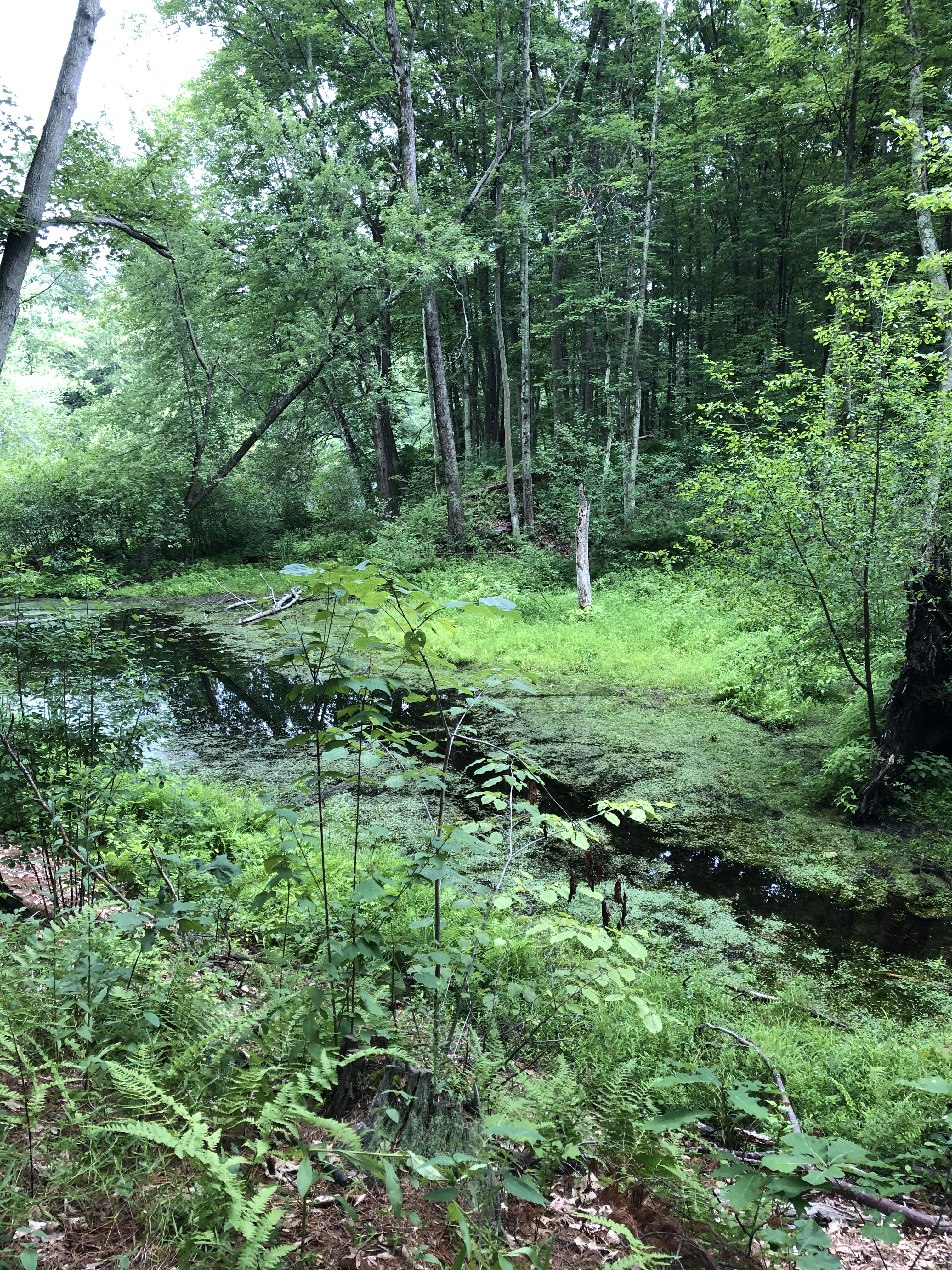 F4359A11-BE31-4A6B-96C0-0EC55D24EF8F