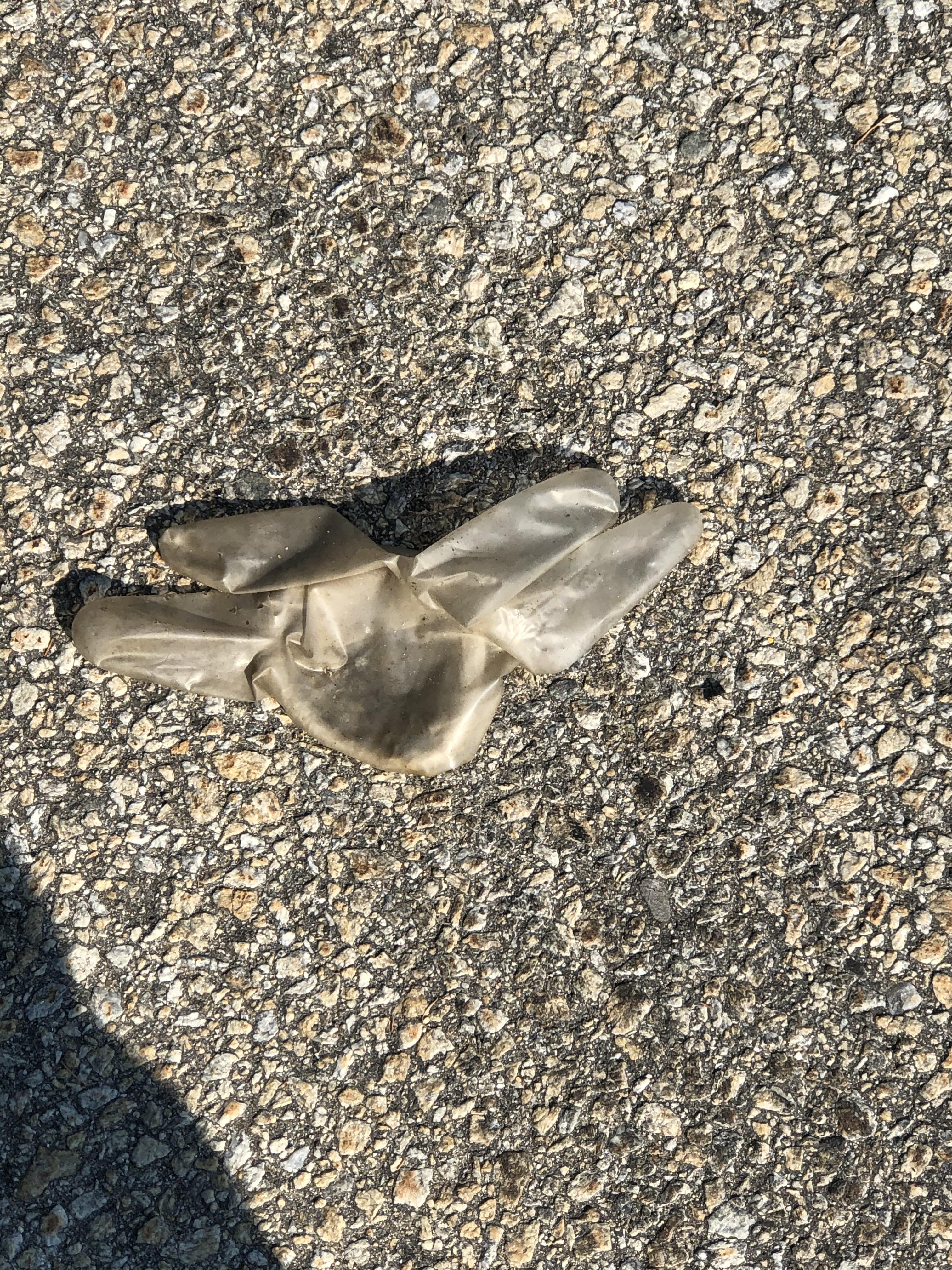 FA516365-A300-4FB5-882B-FC909395ACB3